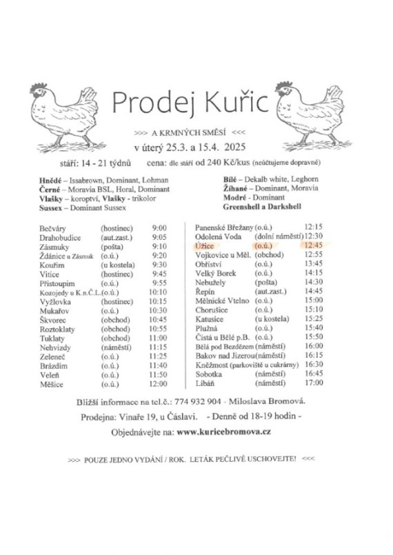 Prodej kuřic 